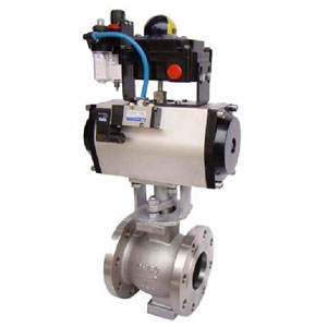 <b>ZSJV����{�����Д�V�����y</b>