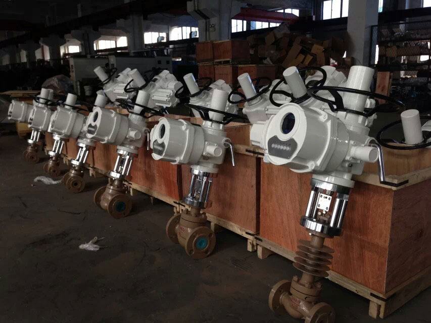 �{���y��֪�ı��B�S�oע�����