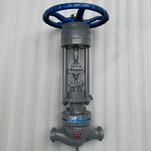 DN25�քӆ����{���y����D