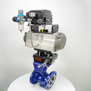 VQ647H-16C-DN80 V�͚���{�����y