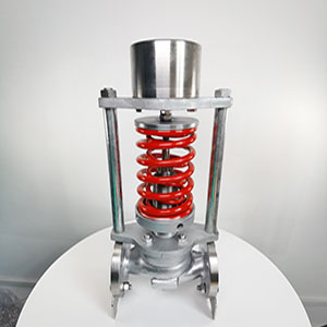 ZZYP-16P-DN32 ���P�����ʽ�����{���y