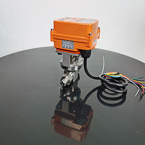 ����{���y-늄�����{���y LJ993Y