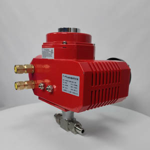 ����늄�С�����{���y �߾��ȸ߉���������{���y�T